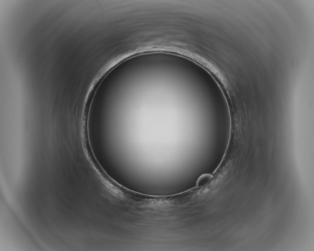 X0000116271525200912071032