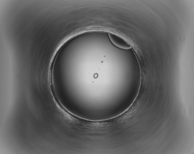 X0000116271527200912071032