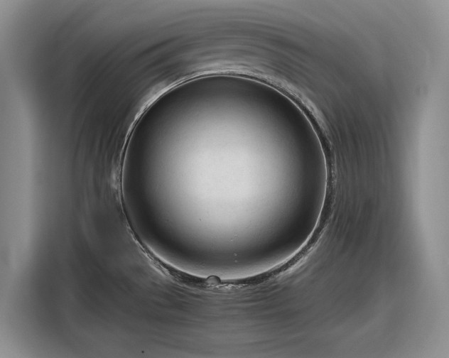 X0000116271529200912071032