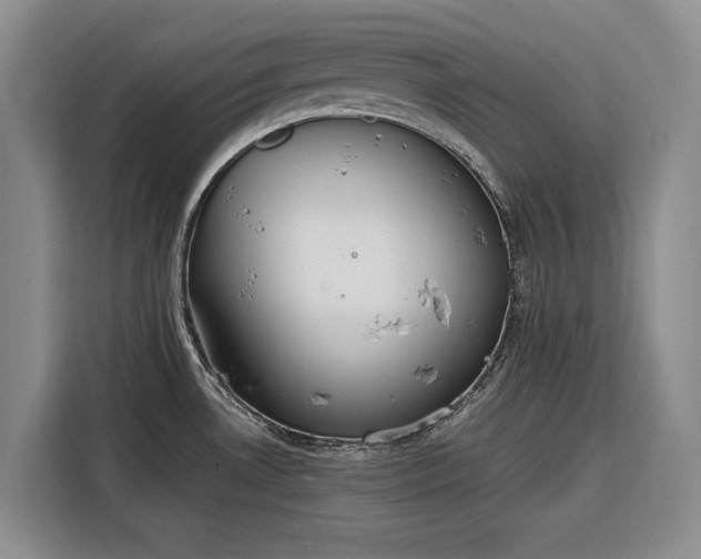 X0000116271530200912071032