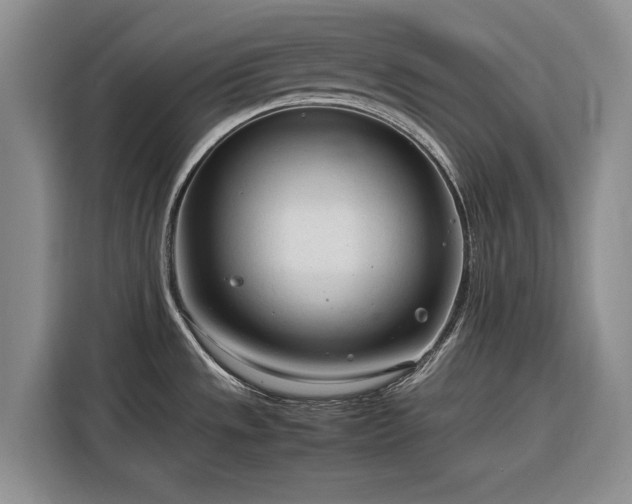 X0000116271533200912071032