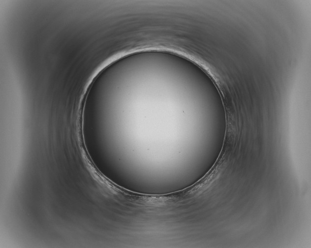 X0000116271534200912071032