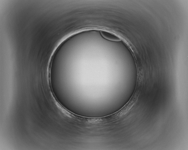 X0000116271535200912071032