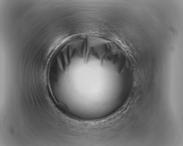 X0000116270002200912141338
