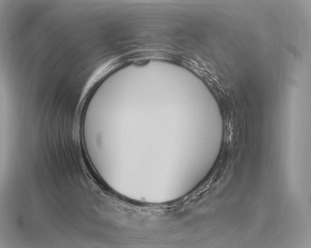 X0000116270004200912141338
