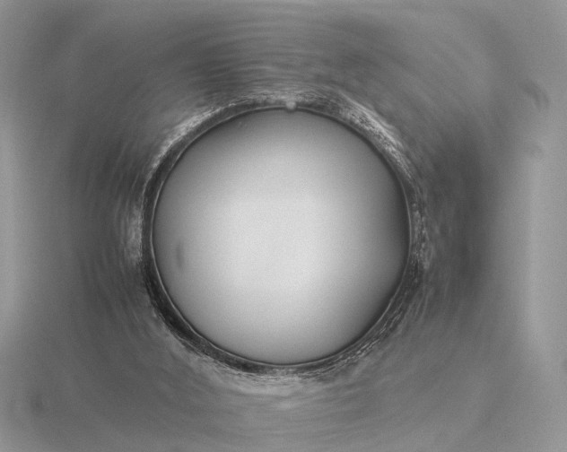 X0000116270012200912141337
