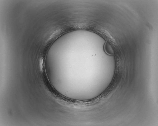 X0000116270024200912141337