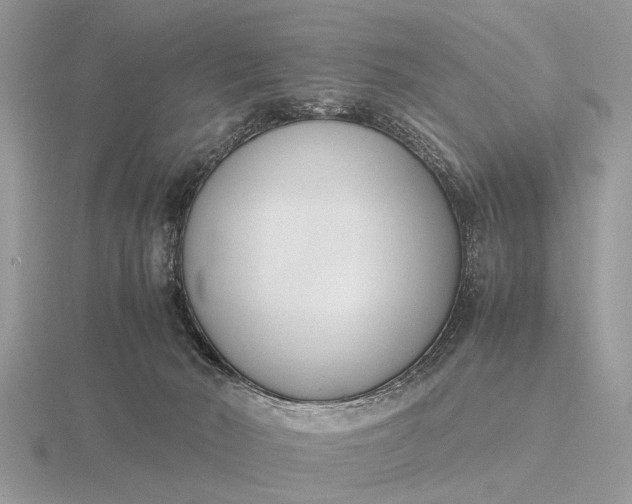 X0000116270030200912141337