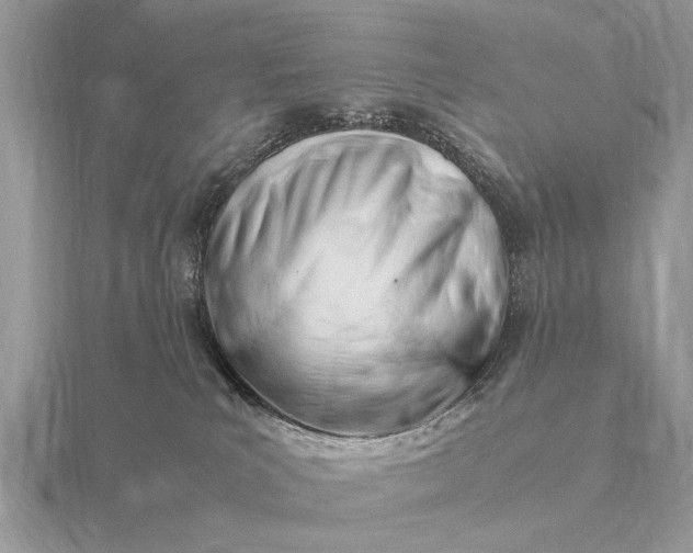 X0000116270039200912141337