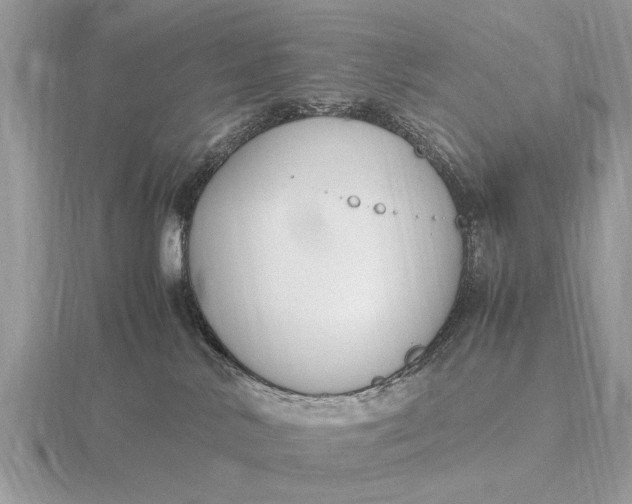 X0000116270042200912141337