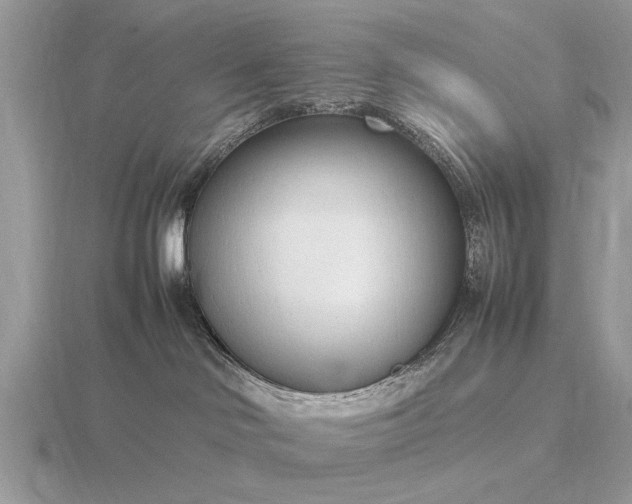 X0000116270046200912141337