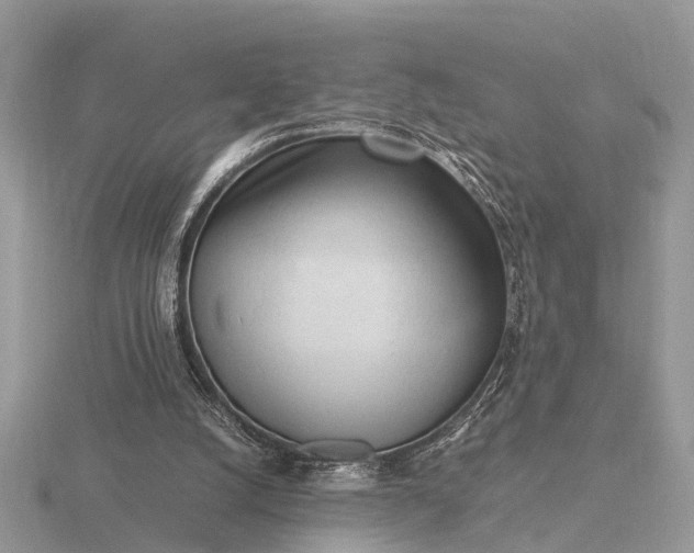X0000116270056200912141336