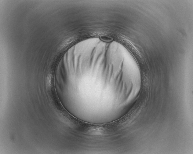 X0000116270071200912141337