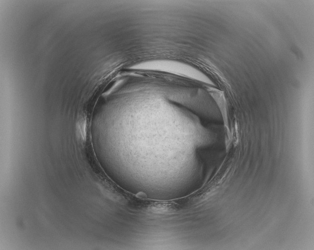 X0000116270076200912141337