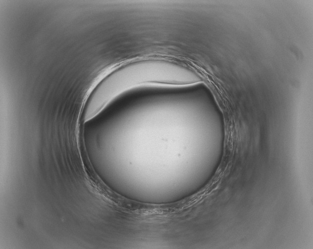X0000116270100200912141336