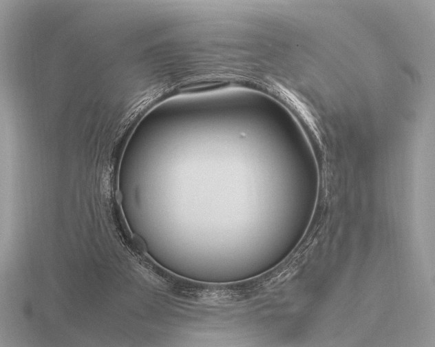 X0000116270105200912141336
