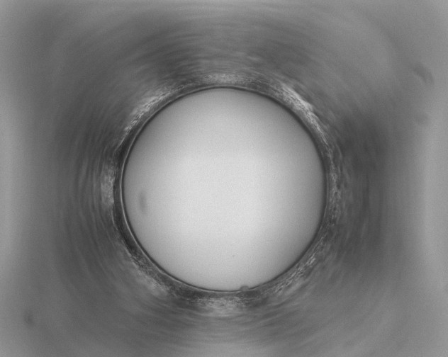 X0000116270106200912141336