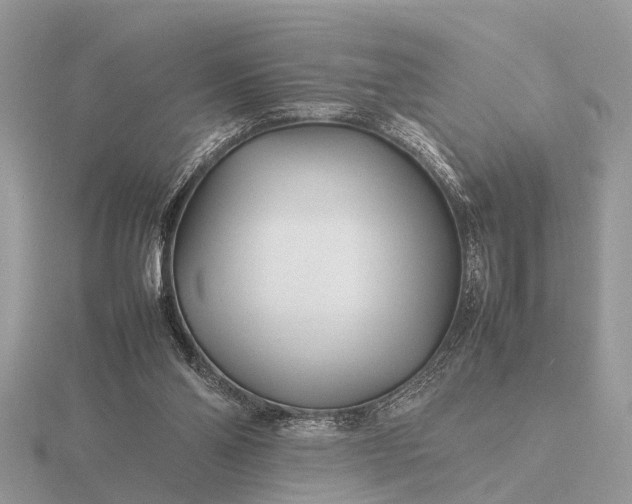X0000116270110200912141336