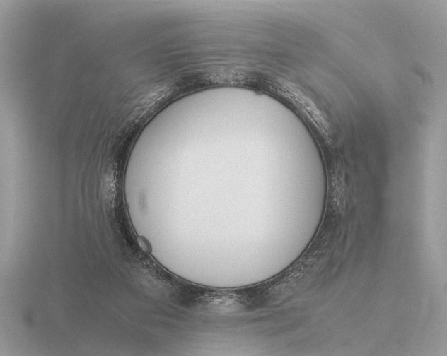X0000116270113200912141336