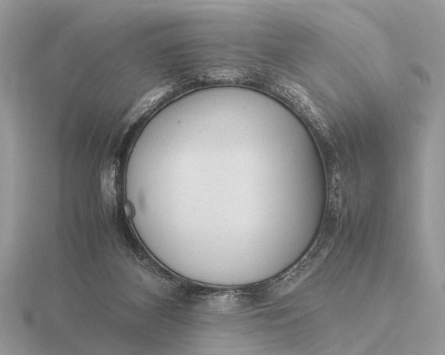 X0000116270116200912141336