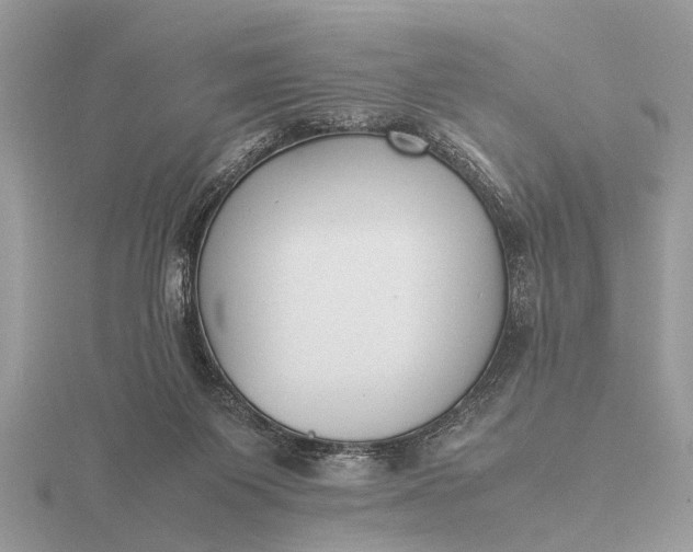 X0000116270119200912141336