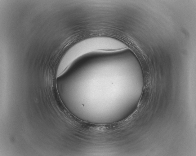 X0000116270124200912141336