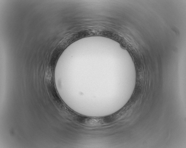 X0000116270129200912141336