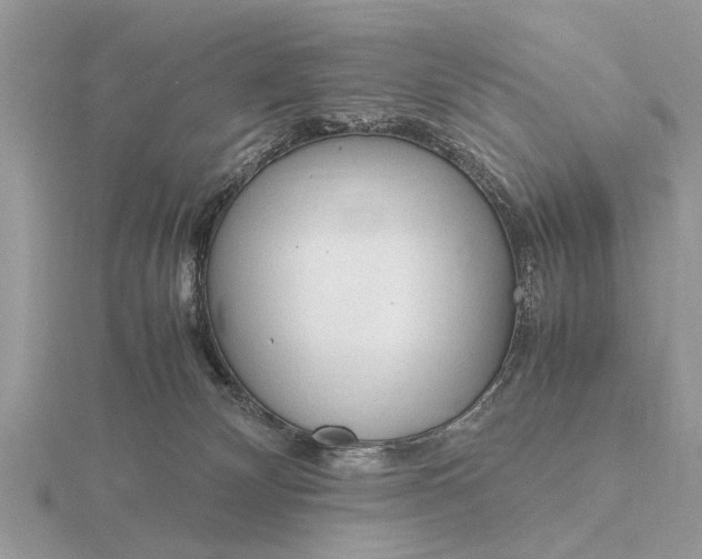 X0000116270132200912141336