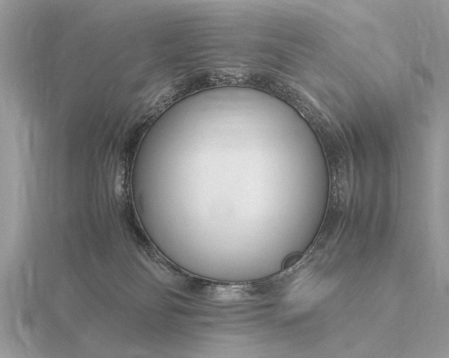 X0000116270134200912141336