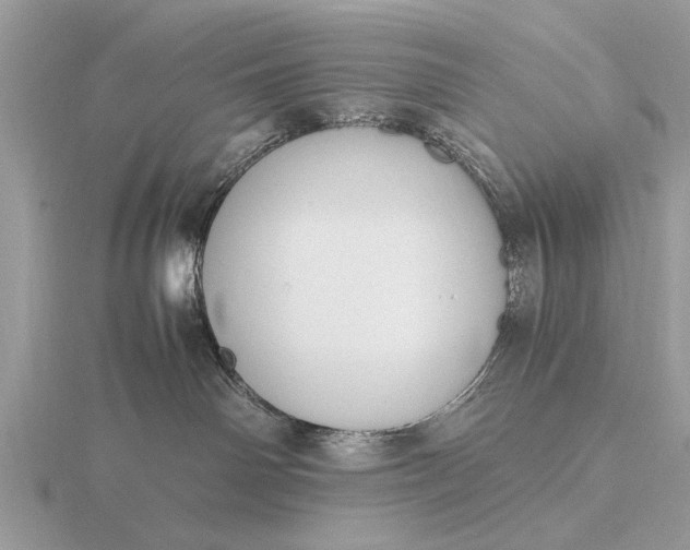 X0000116270142200912141336