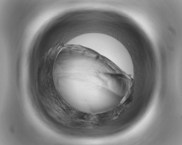 X0000116270143200912141336