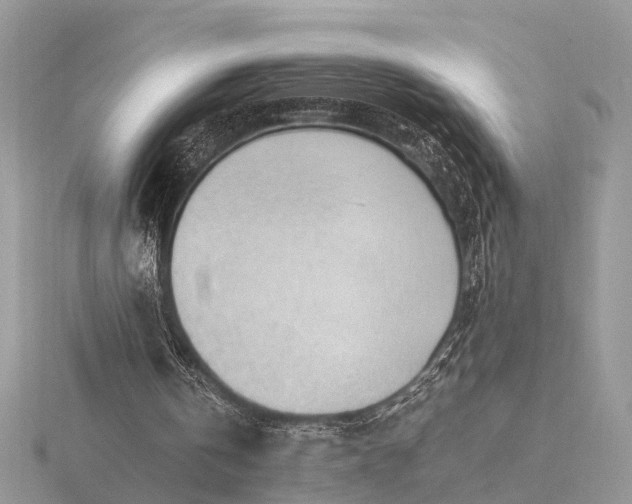 X0000116270146200912141335