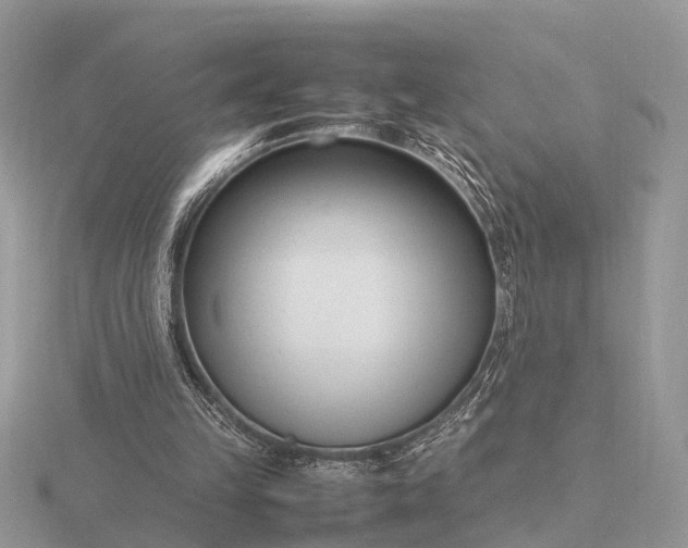X0000116270149200912141335