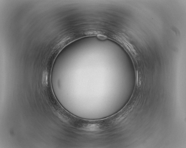 X0000116270157200912141335