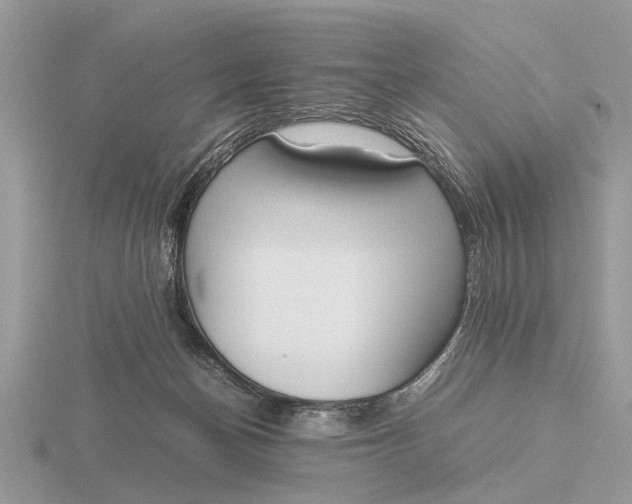 X0000116270174200912141336
