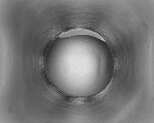 X0000116270182200912141336