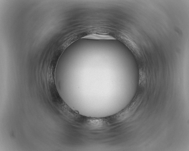 X0000116270189200912141336