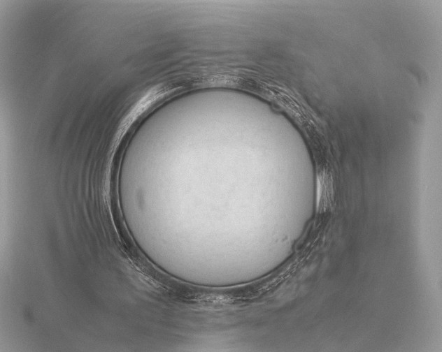 X0000116270195200912141335