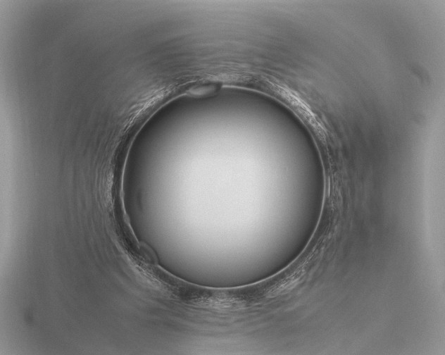 X0000116270201200912141335