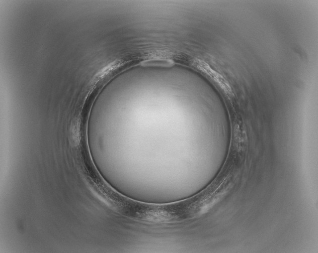X0000116270203200912141335