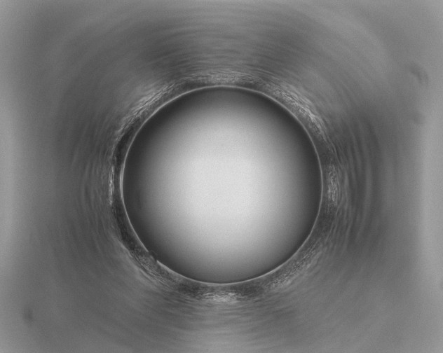 X0000116270206200912141335