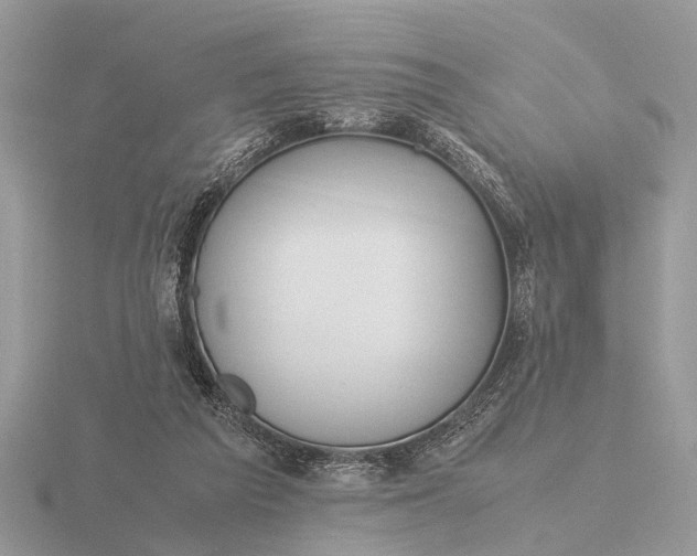 X0000116270209200912141335