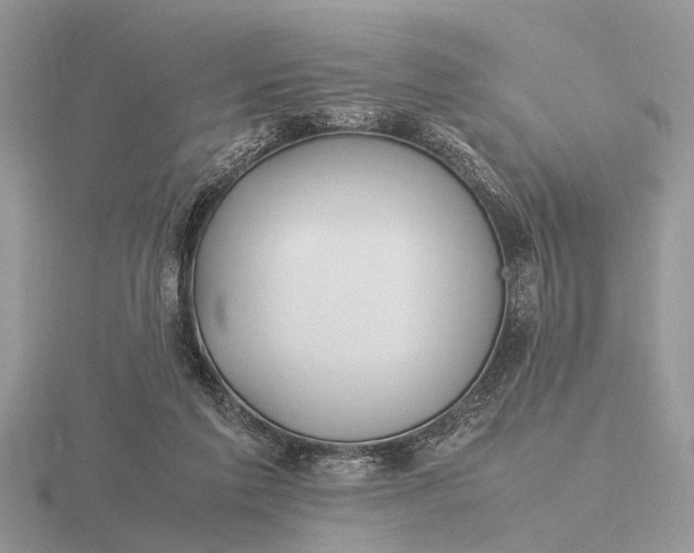 X0000116270213200912141335