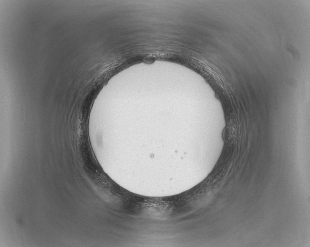 X0000116270215200912141335
