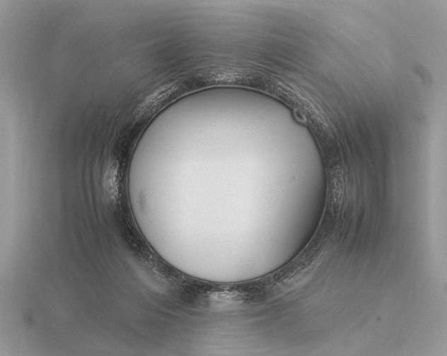 X0000116270216200912141335