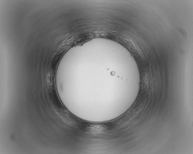 X0000116270218200912141335