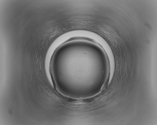 X0000116270219200912141335