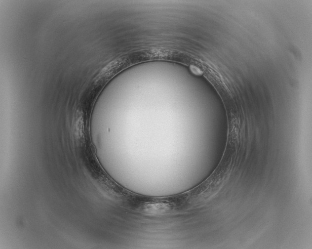X0000116270220200912141335