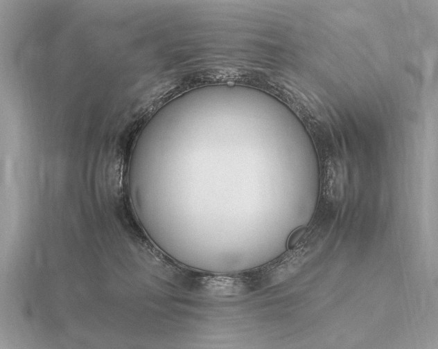 X0000116270230200912141335