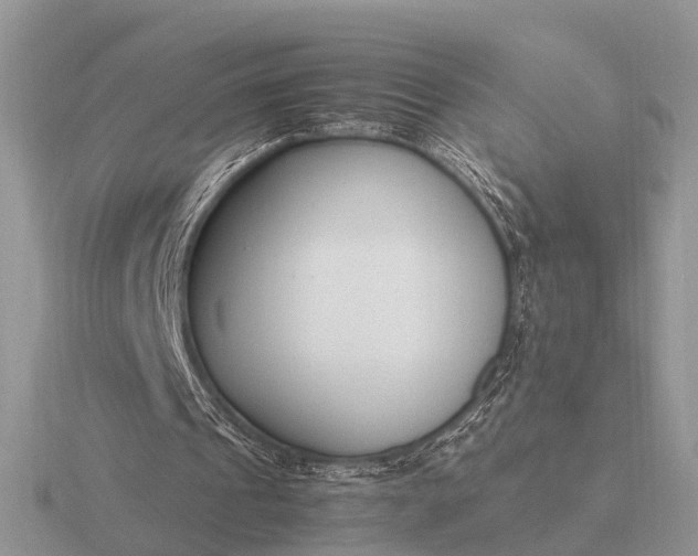 X0000116270241200912141334